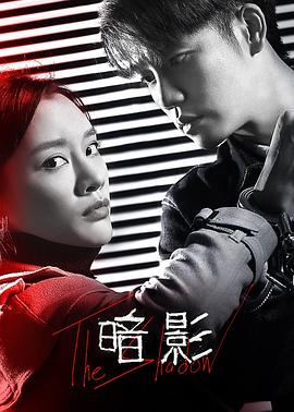 暗影封面图