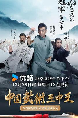 中国武术王中王封面图